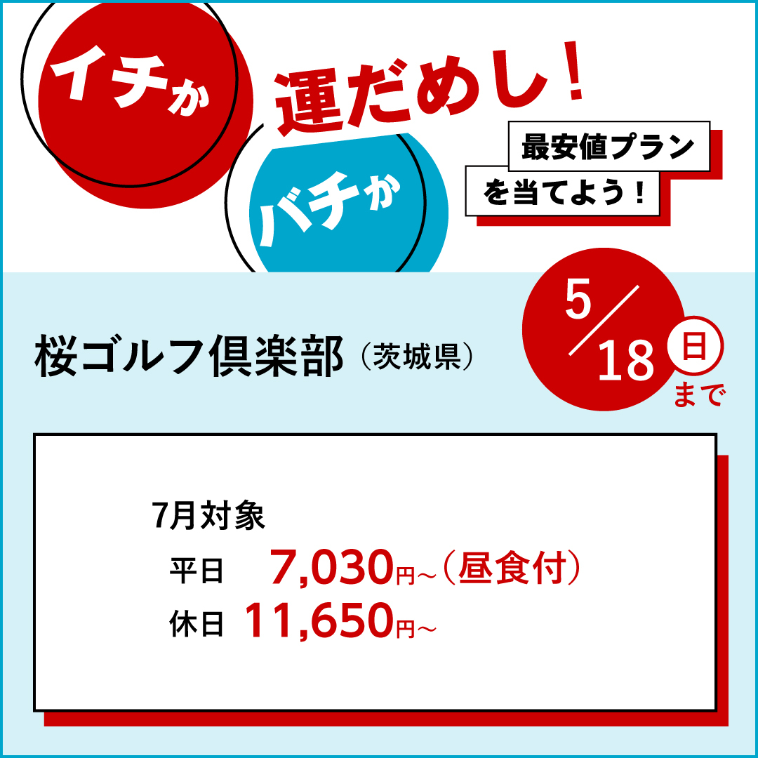 イチかバチか運試し「最安値プラン」を当てよう！